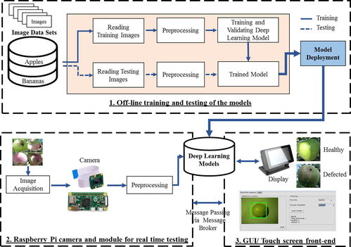 研新机器视觉对农产品蔬菜水果外观缺陷分级筛选的应用