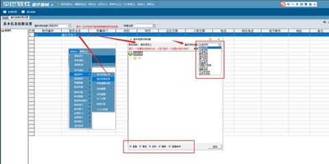 辛巴药神医疗器械进销存软件